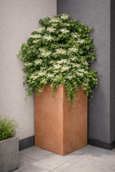 Dreieckiger Design Blumentopf Terracotta - Tri-Angolo